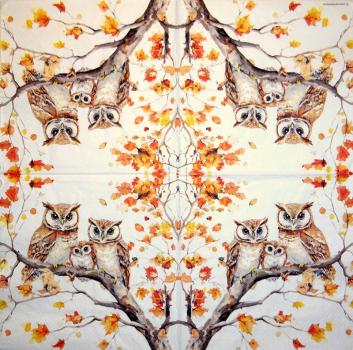 116 Owls - ply - Kalamazoo - CS - 24x24cm
